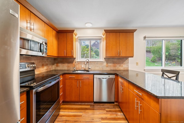 kitchen featuring a peninsula, a healthy amount of sunlight, appliances with stainless steel finishes, and a sink