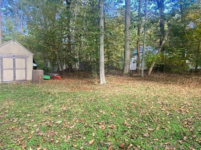 view of yard with a shed and an outdoor structure