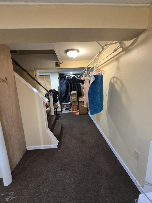 walk in closet featuring carpet flooring