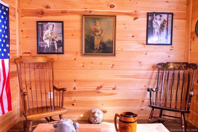 living area with wooden walls