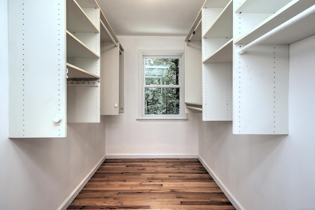 spacious closet with dark wood-type flooring