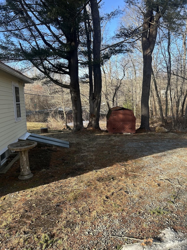 view of yard featuring a storage unit and an outbuilding