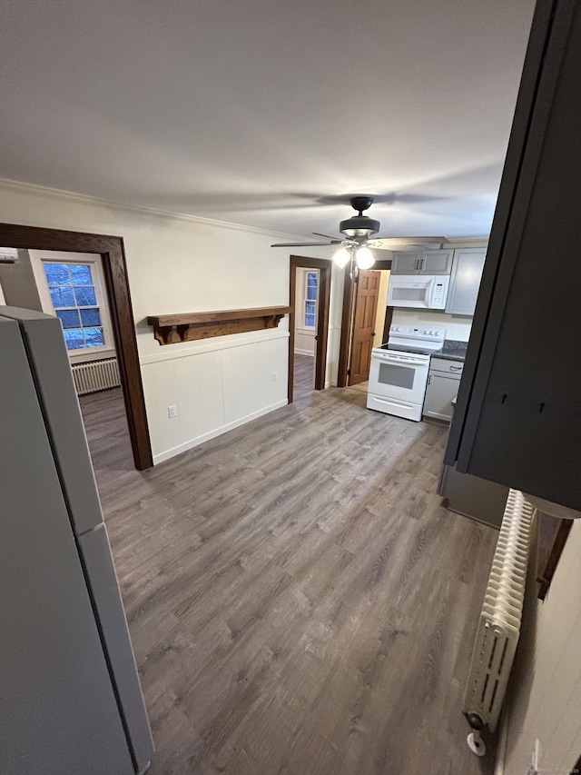 kitchen with a ceiling fan, white appliances, ornamental molding, and wood finished floors