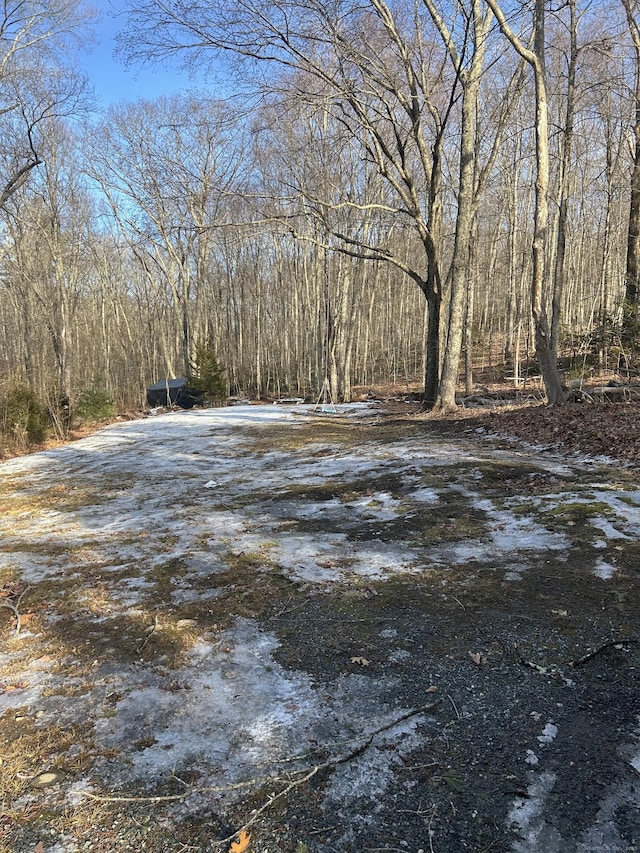 view of yard with a wooded view