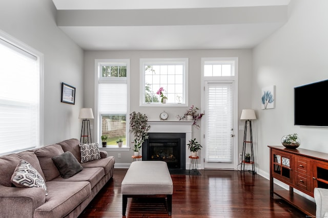 living area with a fireplace with flush hearth, plenty of natural light, dark wood finished floors, and baseboards