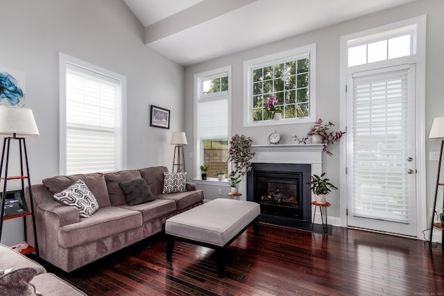 living room featuring hardwood / wood-style floors and a fireplace with flush hearth