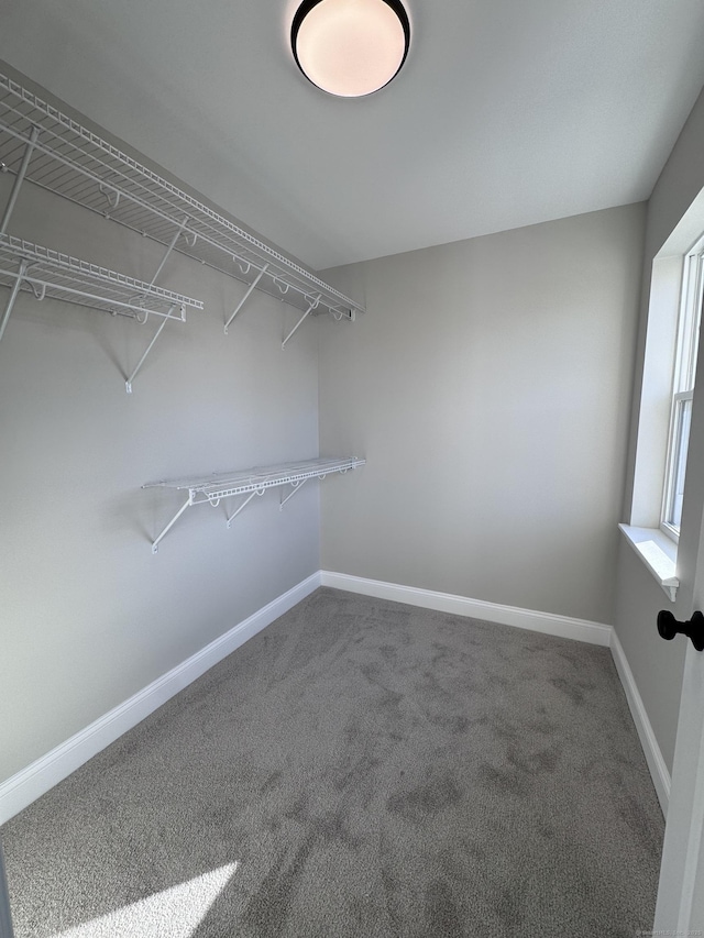 spacious closet with carpet