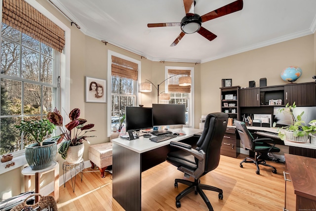 office space with ornamental molding, light wood-style floors, and ceiling fan