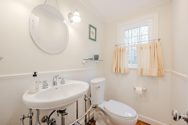 half bath with toilet, a wainscoted wall, ornamental molding, and a sink