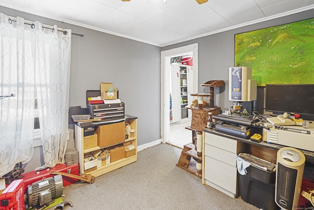 office space with carpet flooring and crown molding