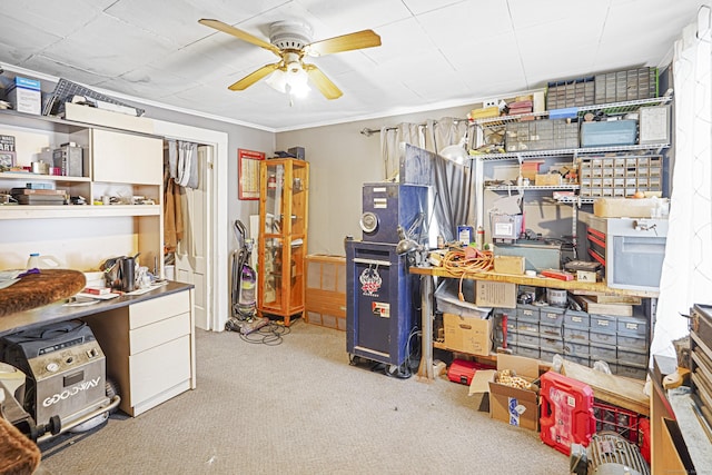 storage with a ceiling fan