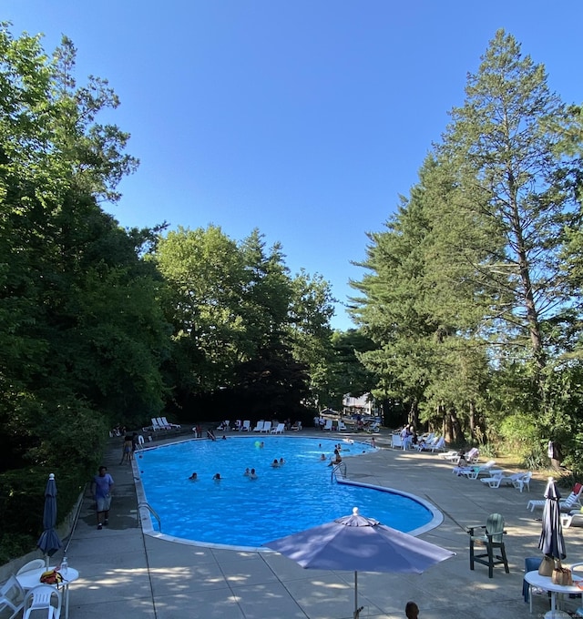 pool with a patio area