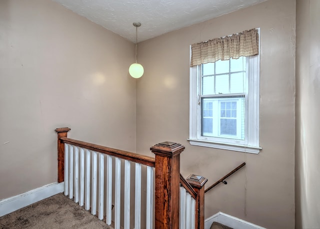 staircase featuring a textured ceiling and carpet floors