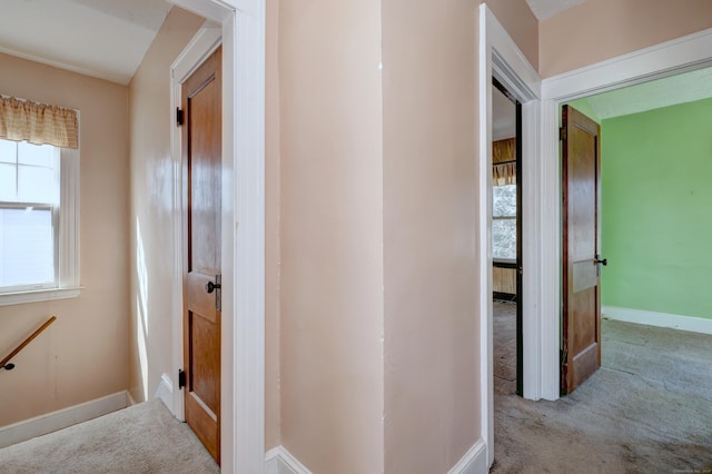 corridor featuring baseboards and carpet floors