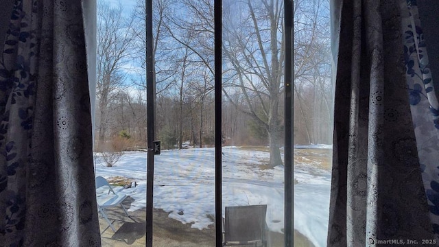 view of yard covered in snow