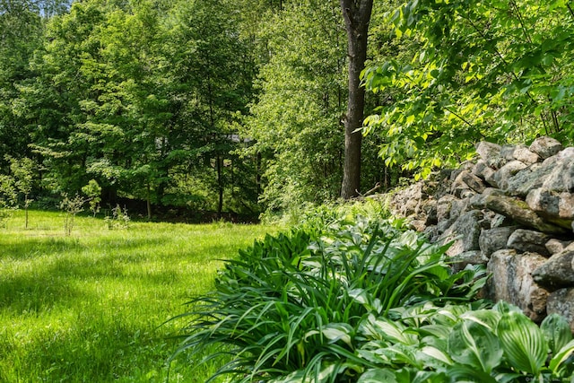 view of landscape with a wooded view