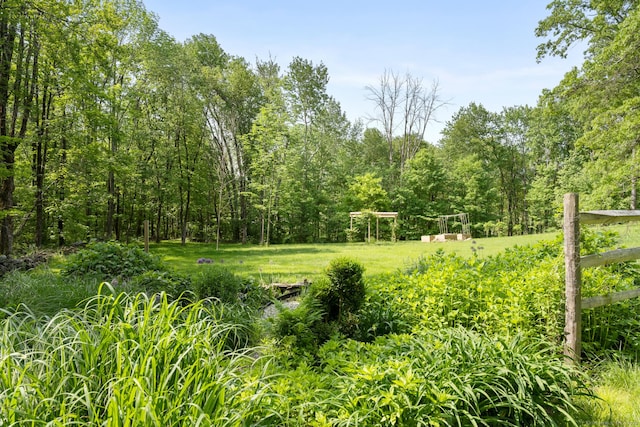 view of yard featuring a forest view