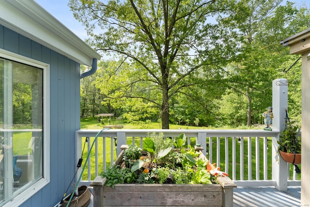 deck with a yard