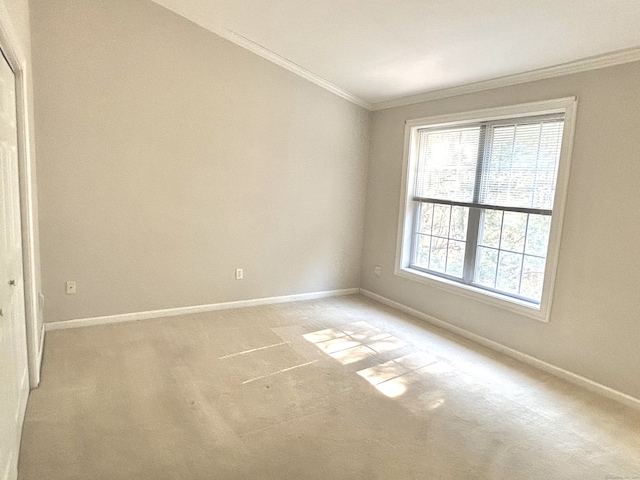 spare room featuring crown molding and baseboards