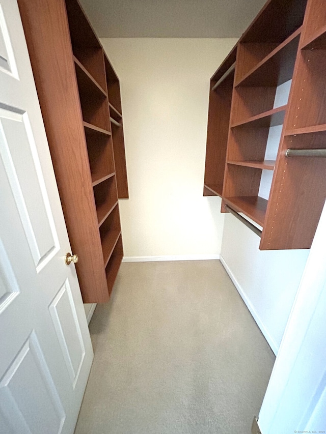 spacious closet with carpet