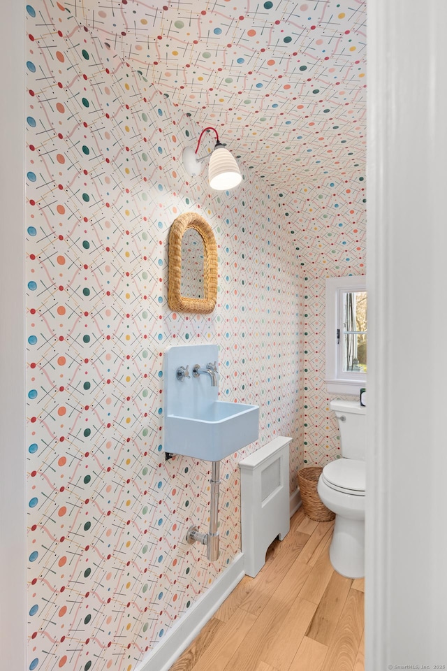 bathroom featuring a sink, wood finished floors, and toilet