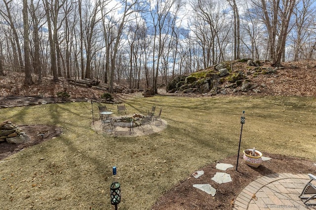 view of yard featuring an outdoor fire pit