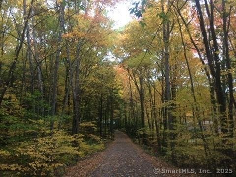 view of road with a forest view