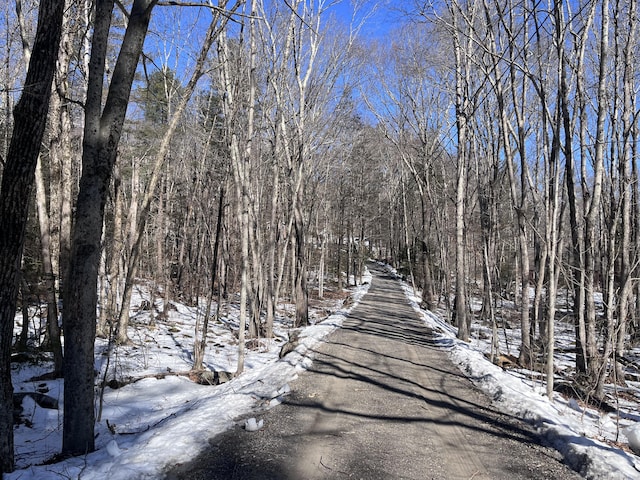 view of road featuring a forest view