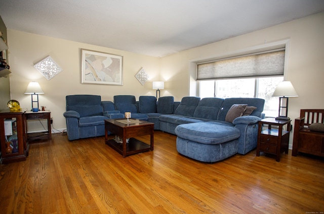 living room with wood finished floors