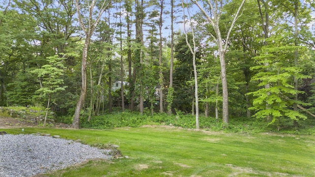 view of nature with a view of trees