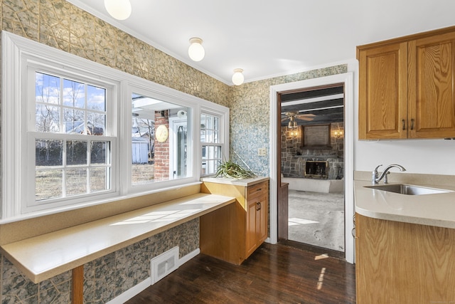 interior space featuring visible vents, dark wood finished floors, ornamental molding, a fireplace, and a sink