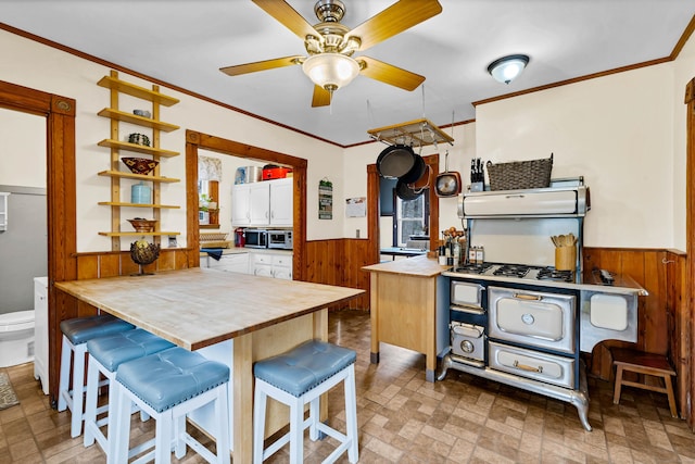 kitchen with open shelves, wainscoting, and wooden walls