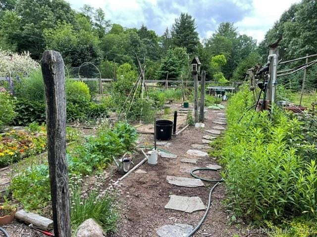 view of yard with a garden