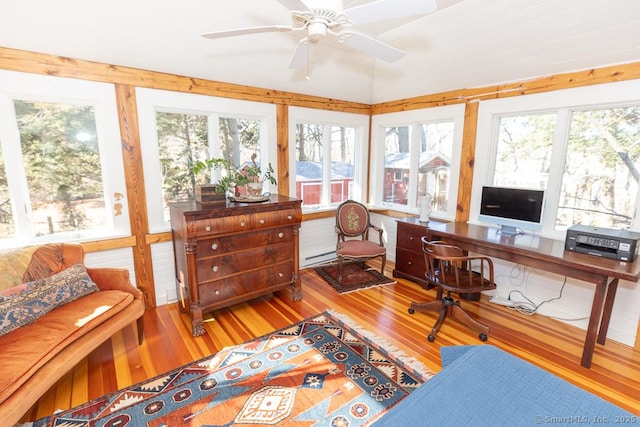 office area with plenty of natural light, a ceiling fan, and wood finished floors