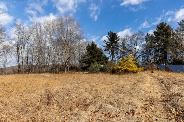 view of local wilderness