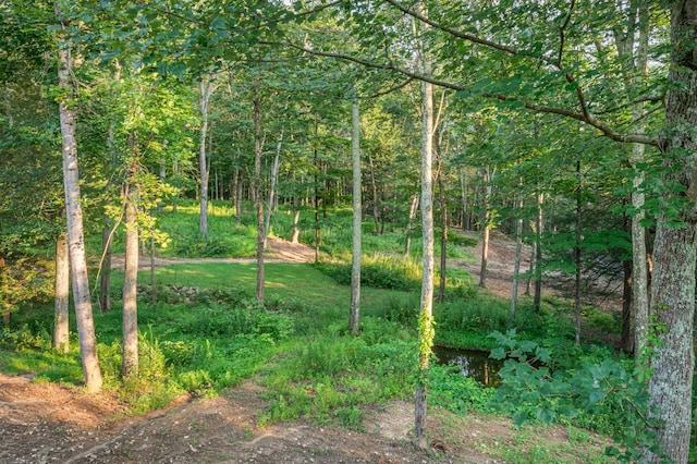 view of landscape featuring a view of trees