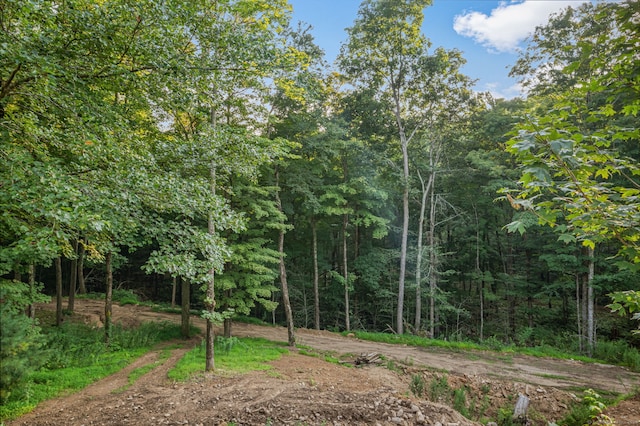 view of yard with a view of trees