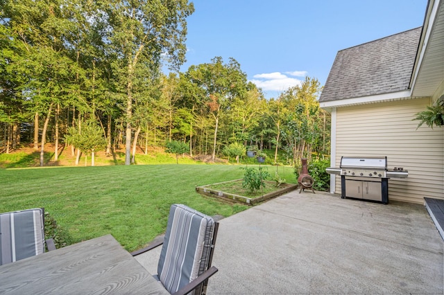 view of patio with area for grilling and a vegetable garden