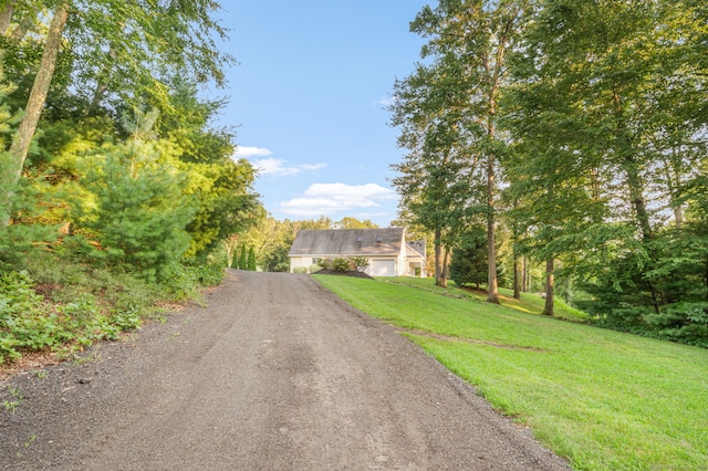 view of street with driveway