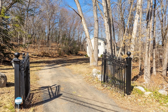 view of street with a gated entry, driveway, and a gate