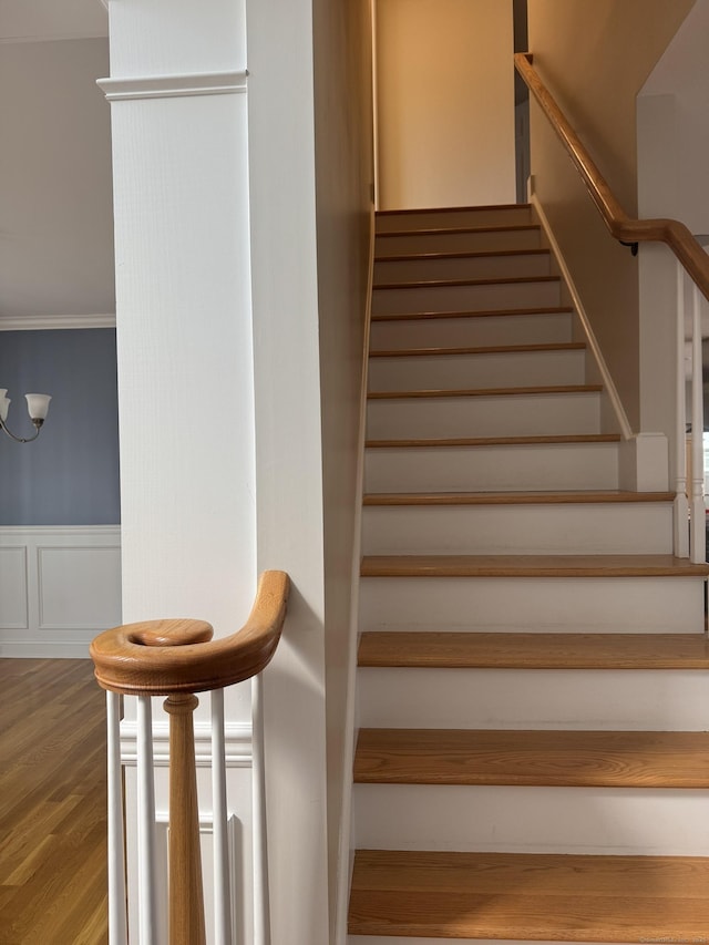 stairs featuring a wainscoted wall, wood finished floors, ornamental molding, and a decorative wall