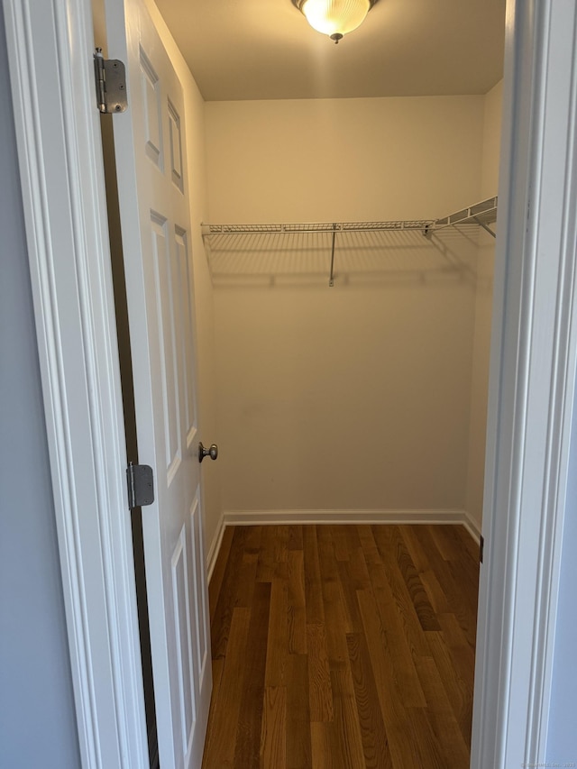 spacious closet featuring dark wood-style floors