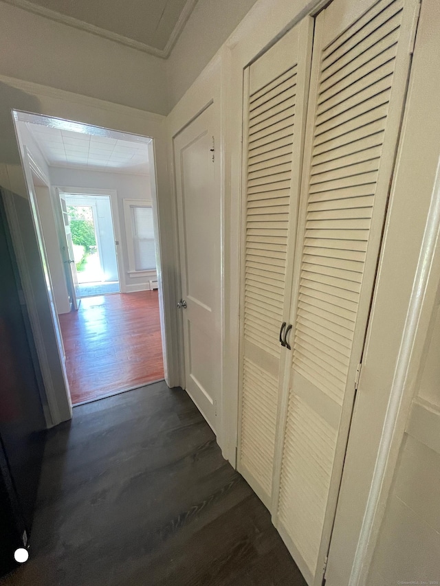 hallway with dark wood-style floors and crown molding