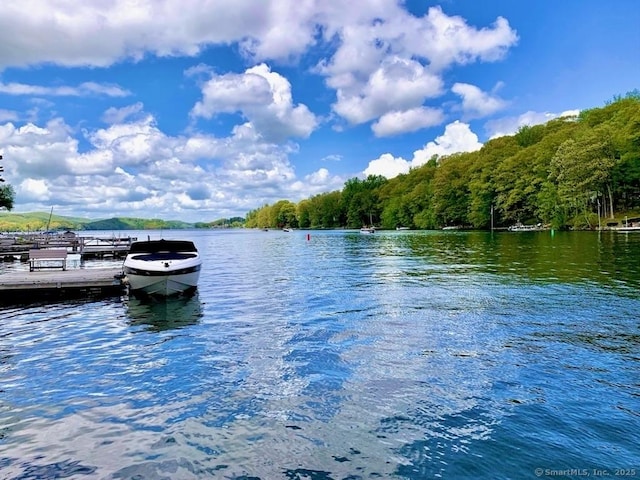 property view of water with a dock