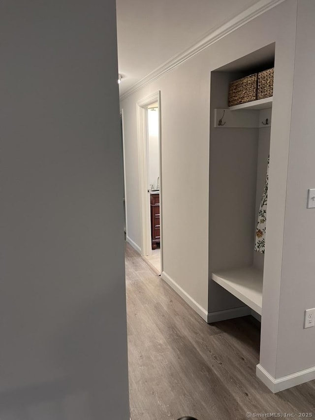 mudroom featuring crown molding, wood finished floors, and baseboards