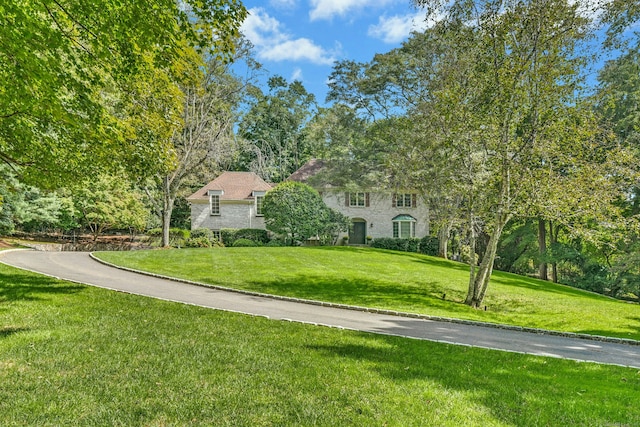 view of front of house with stone siding and a front yard