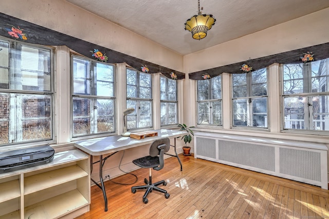 office area featuring radiator and hardwood / wood-style flooring