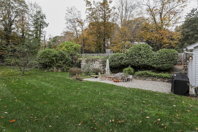 view of yard featuring a patio area