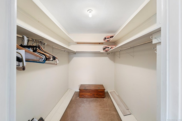 walk in closet with carpet floors