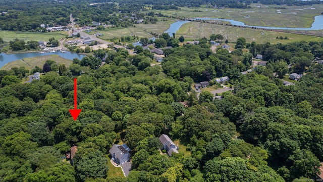 birds eye view of property featuring a water view and a view of trees